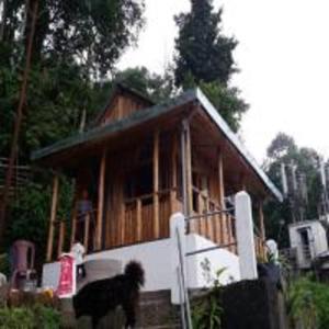 Zelepla Village Resort By StayApart