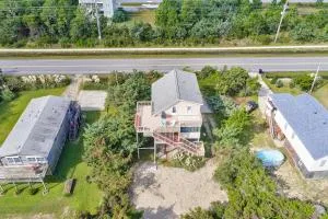 Surfing Kitty - Waves