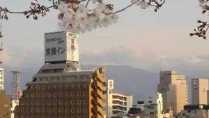 Toyoko Inn Kofu eki Minami guchi No 1 - Nishikichō
