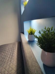 Cēsu mājas Rīgas ielā