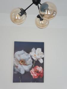 Cēsu mājas Rīgas ielā