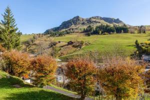 Appartements Hypercenter at the foot of the slopes : photos des chambres