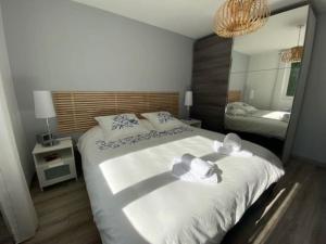 Villas Wonderful pool house Andernos : photos des chambres