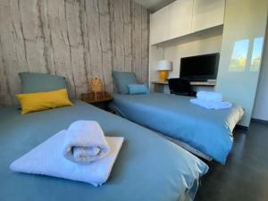 Villas Wonderful pool house Andernos : photos des chambres