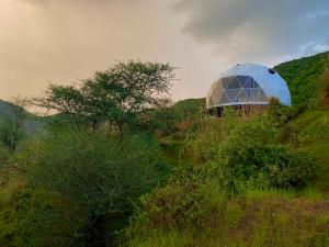 Teela- The Glamping Resort, Jaipur