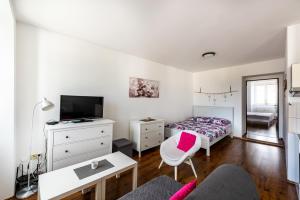 Apartmán Hartmanice