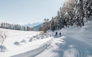 DAS GERSTL Alpine Retreat