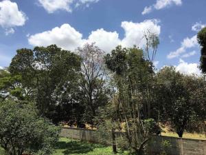 Cosy Westlands Apartment