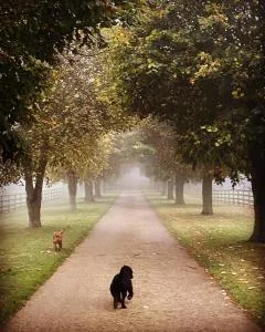Potcote farm stables accommodation fudges stable - Bugbrooke