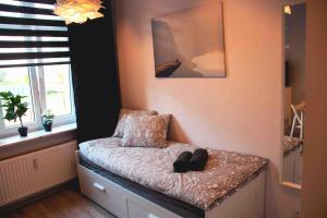 *Apartamenty Kattowitz 12