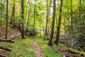 Penny Creek Cabin - Powder Horn Mountain