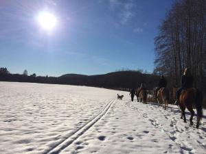 Countryside Holiday home "Our Little Farm"