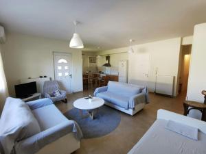 Lilys apartment