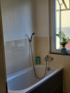 Modernes behagliches Haus mit Kamin, Terrasse und Garten