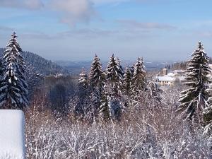 Chalets Chalet neuf avec jacuzzi prive, vue imprenable sur Massif des Vosges : photos des chambres