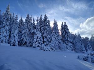 Chalets Chalet neuf avec jacuzzi prive, vue imprenable sur Massif des Vosges : photos des chambres