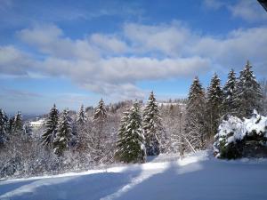 Chalets Chalet neuf avec jacuzzi prive, vue imprenable sur Massif des Vosges : photos des chambres
