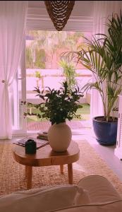 Kentia golf Playa Granada