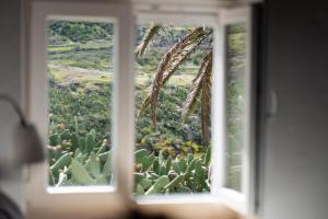 Vivienda Vacacional Rosa Blanca