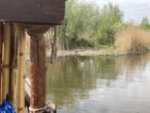 Das Naturfloß - Biberspur