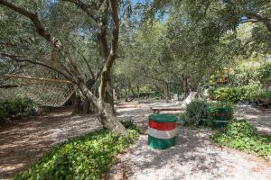 Apartments by the sea Brela, Makarska - 20186