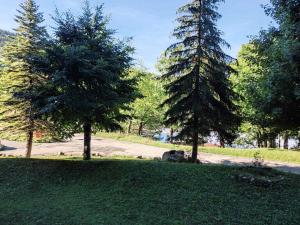 Appartements Studio Villard-de-Lans, 1 piece, 2 personnes - FR-1-689-109 : photos des chambres