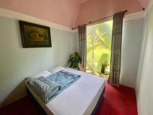 Homestay Điện Biên- Thung Lũng Hoa Hồng