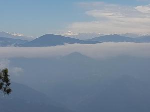 Seven Hills Homestay