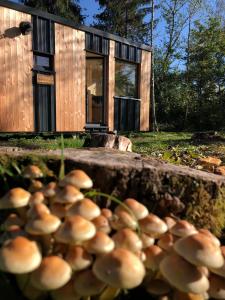 Maisons de vacances Homnest Morvand'Ailes - Cocon immersif en Morvan : photos des chambres