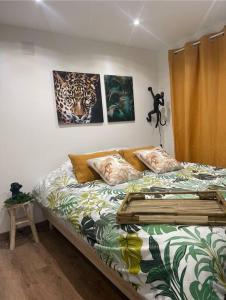 Chalets Charmant chalet jungle avec balneo : photos des chambres