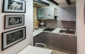 Amazing Apartment In Rovinj With 1 Bedrooms And Wifi