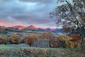 Appartements Gite confortable village medieval Sainte-Jalle Baronnies provencales : photos des chambres