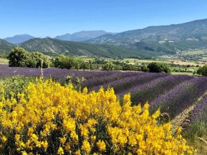 Appartements Gite confortable village medieval Sainte-Jalle Baronnies provencales : photos des chambres