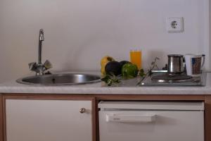 Krinos apartment 1