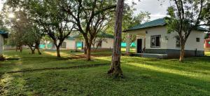 The Wild Forest Resorts