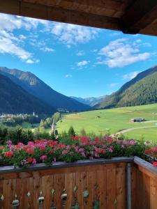 Double Room room in Bergerhof