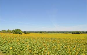 Maisons de vacances Awesome home in Montaut with Outdoor swimming pool, WiFi and 3 Bedrooms : photos des chambres