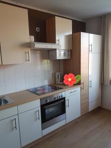 Apartment Graz Murpromenade