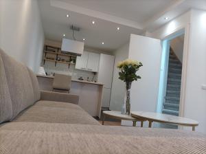 Homestay Rotterdam