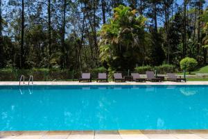 Sítio com piscina, área arborizada e lazer