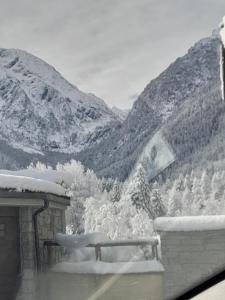 Soggiorno Vacanze Stella Alpina