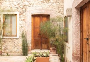 Orchid House San Miguel de Allende