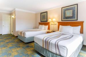 Deluxe Double Room with Two Double Beds room in La Quinta by Wyndham Redding