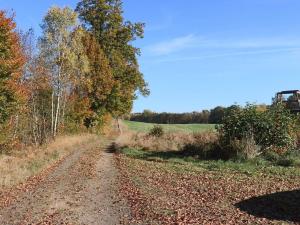 4 person holiday home in SKÅNES-FAGERHULT-By Traum