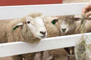 Kensington Resort Seorak Valley