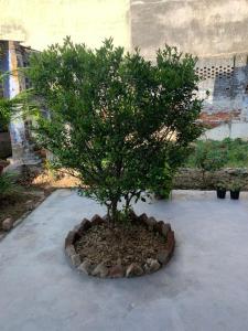 Krimson Bricks Homestay