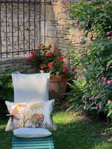 Maisons de vacances L'Enclos du Micocoulier : photos des chambres