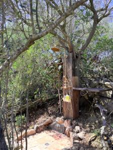 Domaine de la Coletta Bergerie