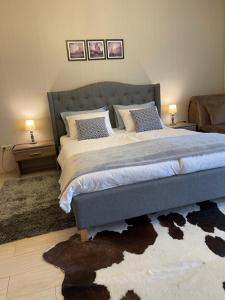 Сонячне Закарпаття