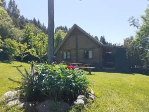 El Estribo - Golondrinas